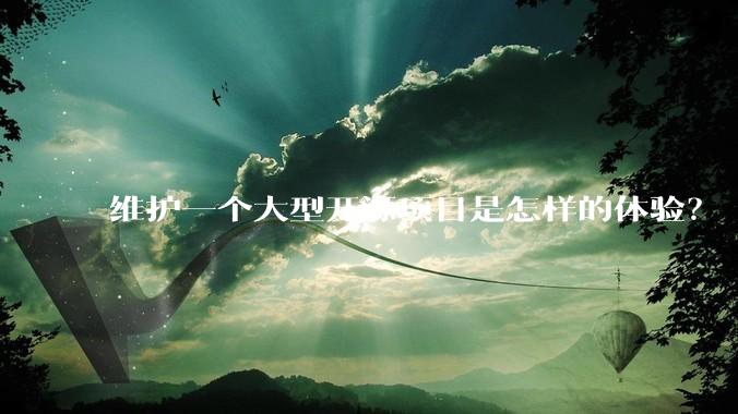 维护一个大型开源项目是怎样的体验？